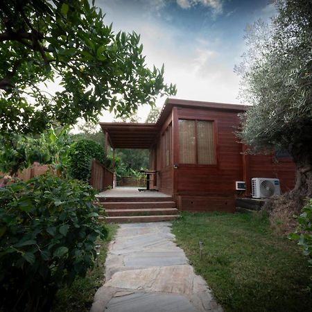 El Jardin Del Eden Villa Orgiva Exterior photo